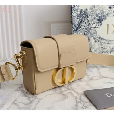 Dior Bags AAA 050